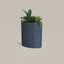 Field Planter